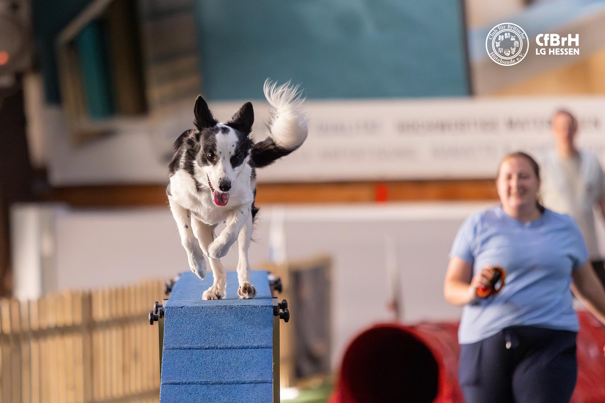 28.6.2024 – CfBrH Trainingspaket im HSZ NRW