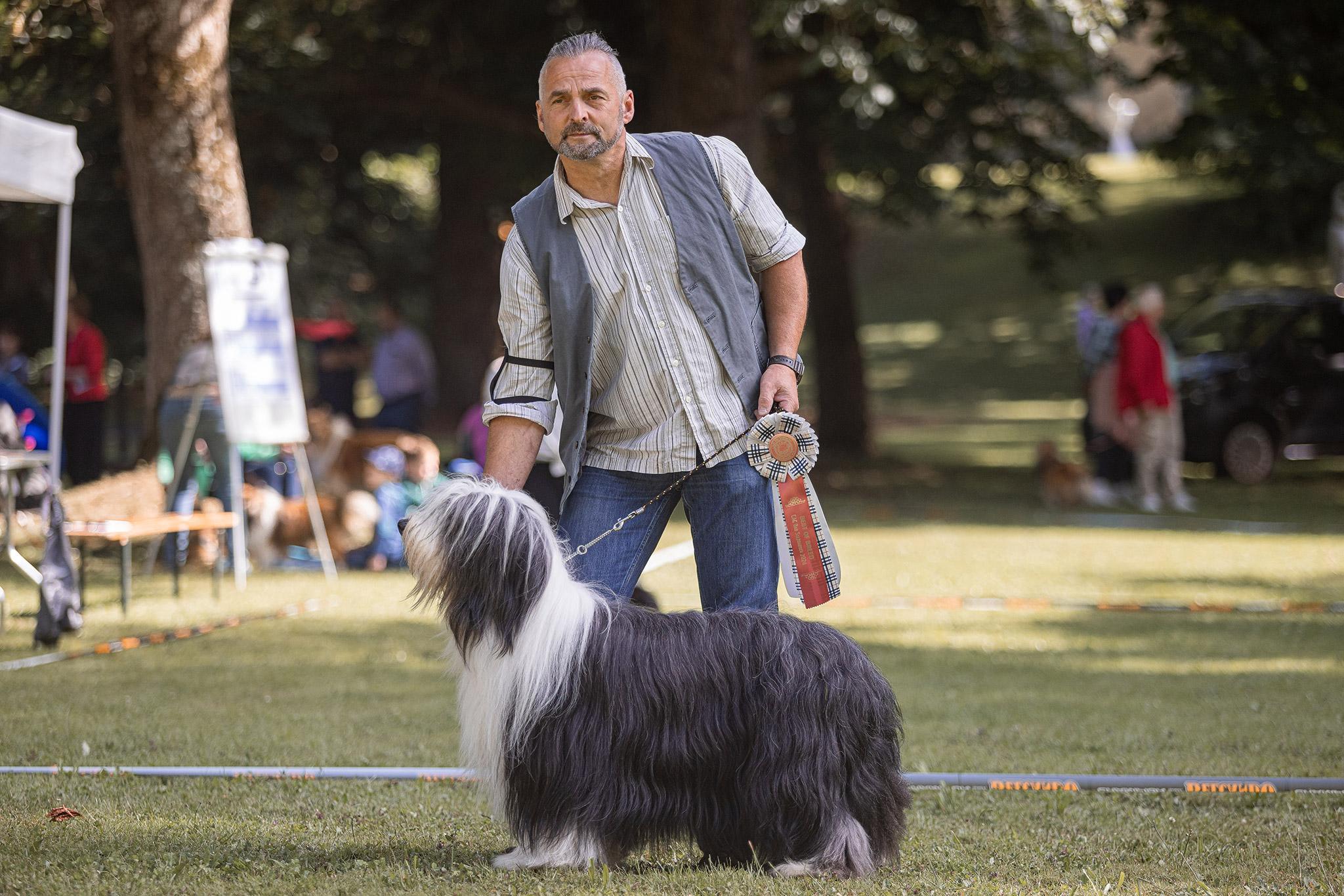 BOB Bearded Collie