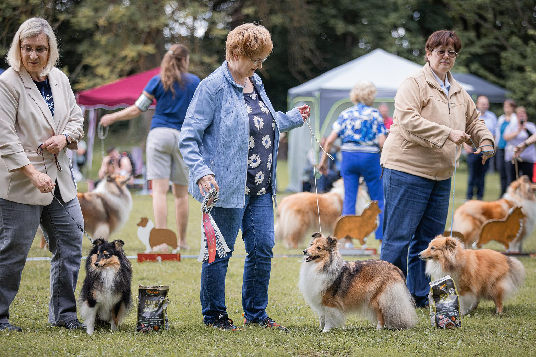 BOB Sheltie