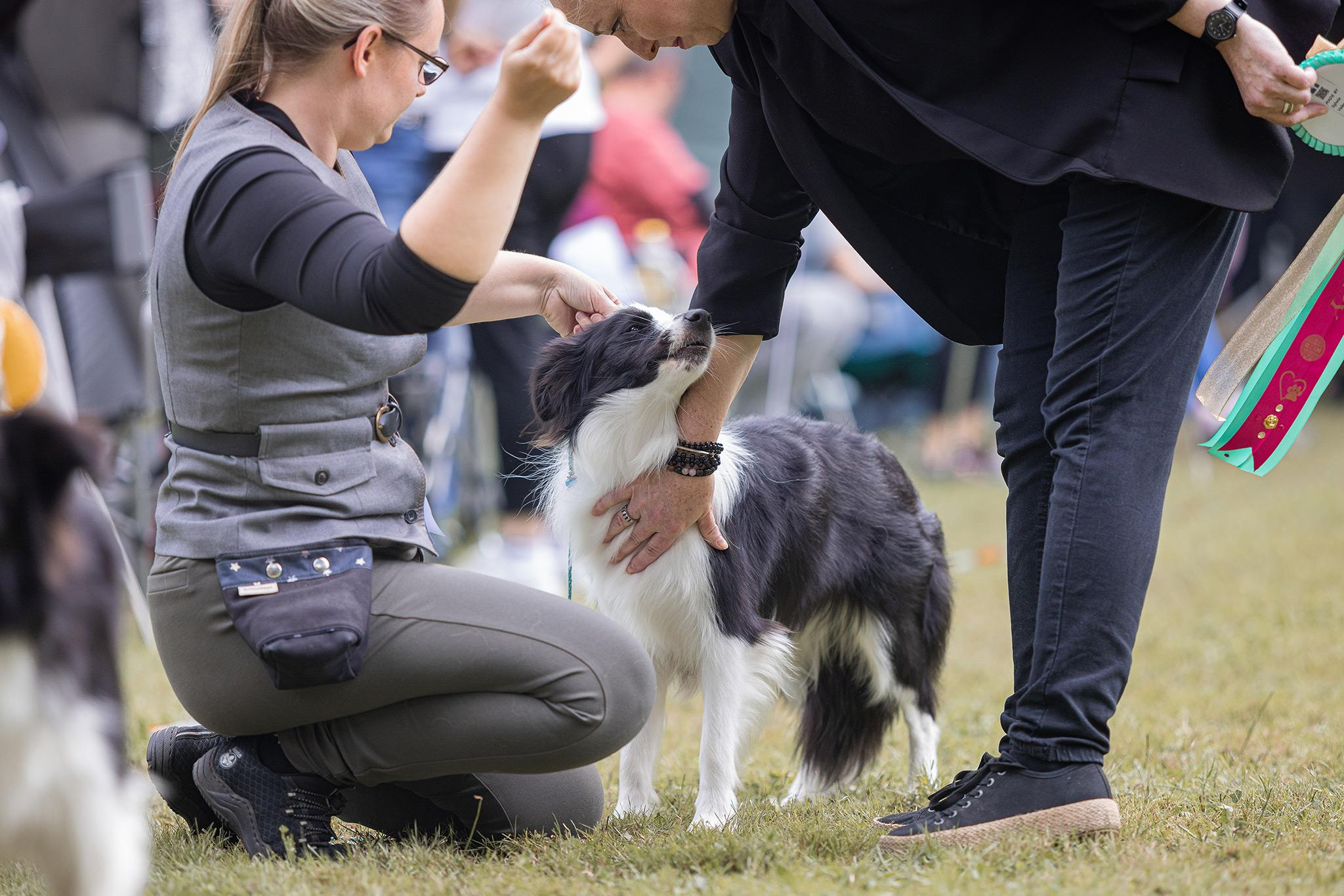 Best Puppy in Show