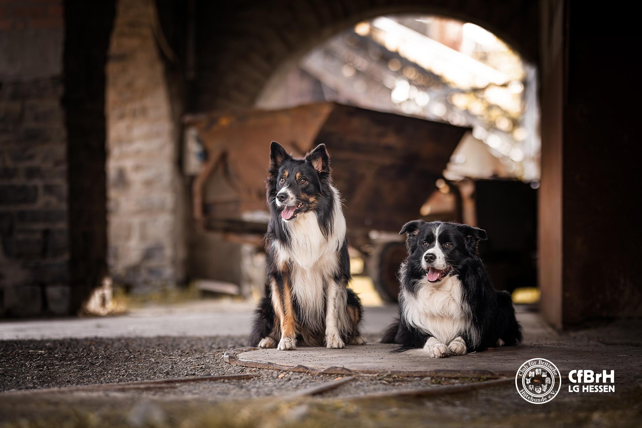 2. Photowalk der Landesgruppe Hessen