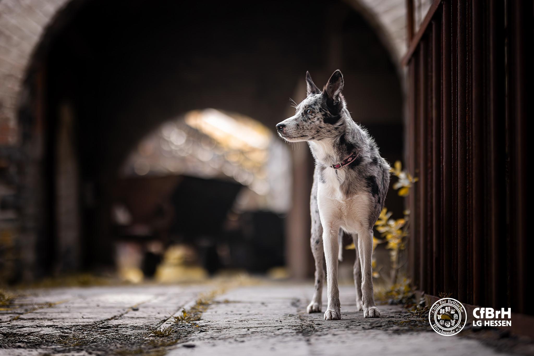 2. Photowalk der Landesgruppe Hessen