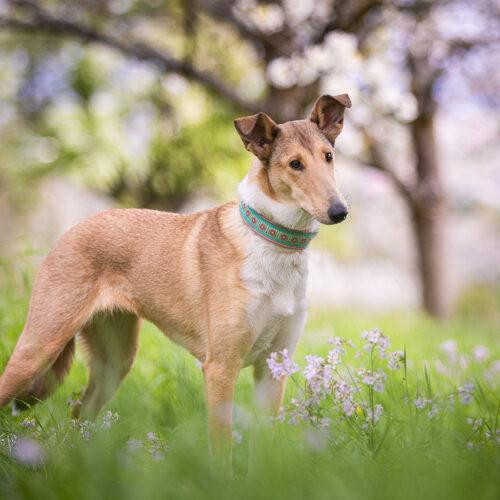 3. Photowalk der Landesgruppe Hessen
