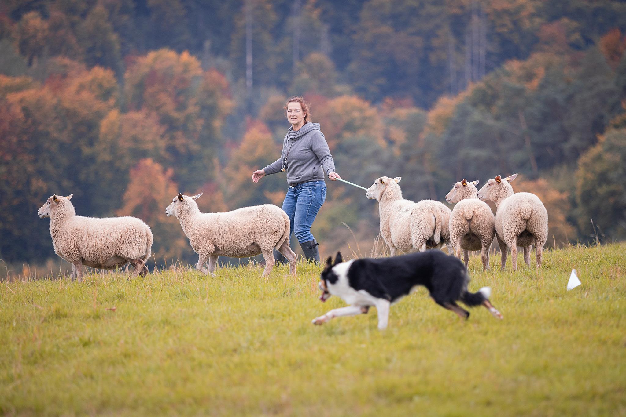 Hessentrial 2025 in Rauschenberg