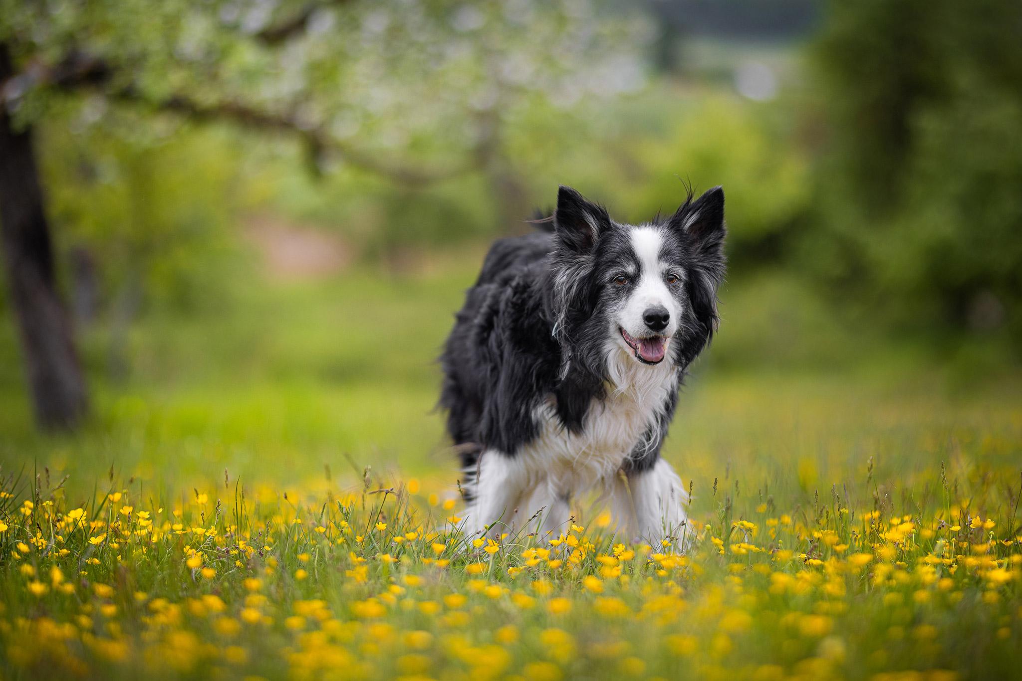 5. Fotowalk der Landesgruppe Hessen