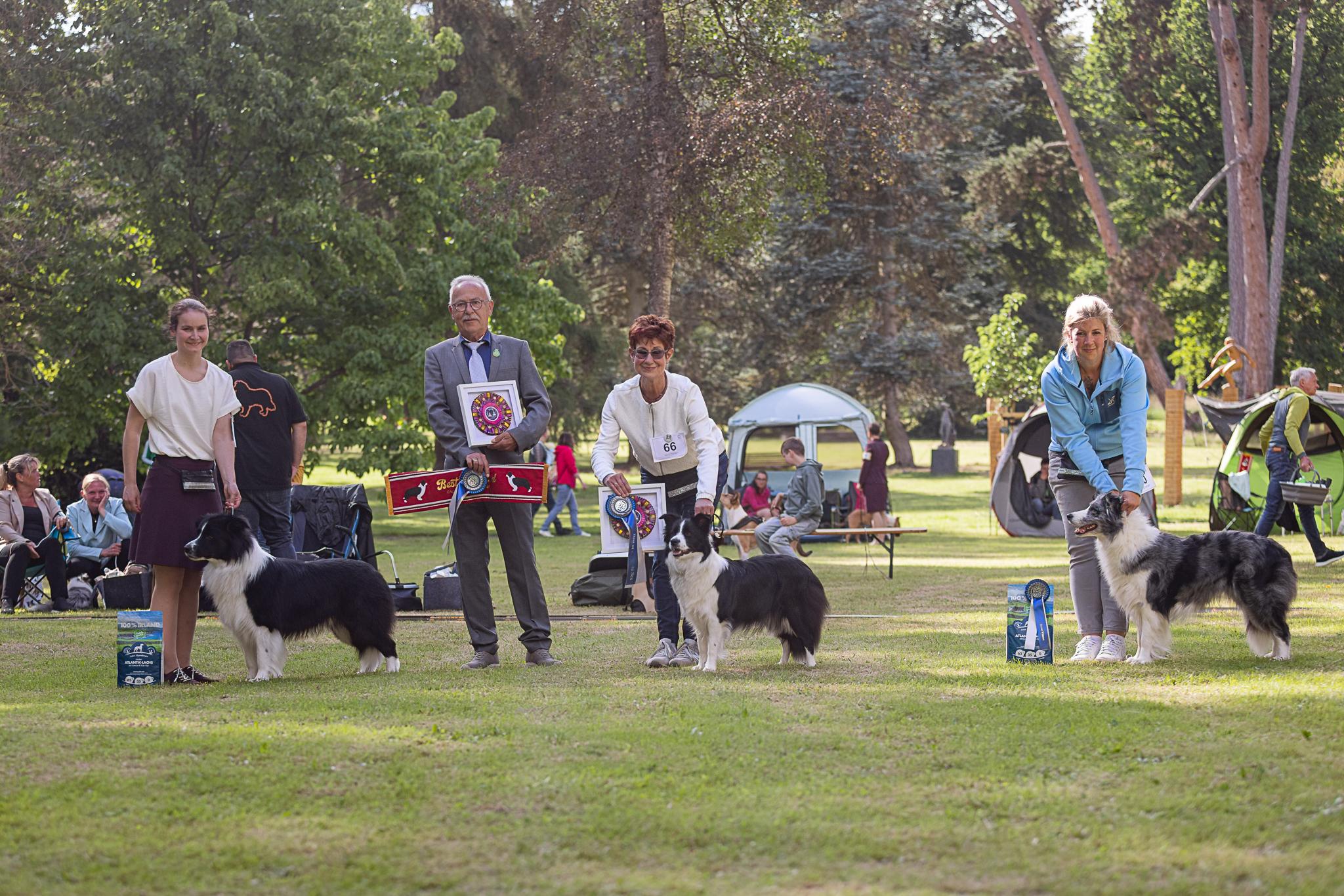 CAC Bad Salzhausen | BOB Border Collie