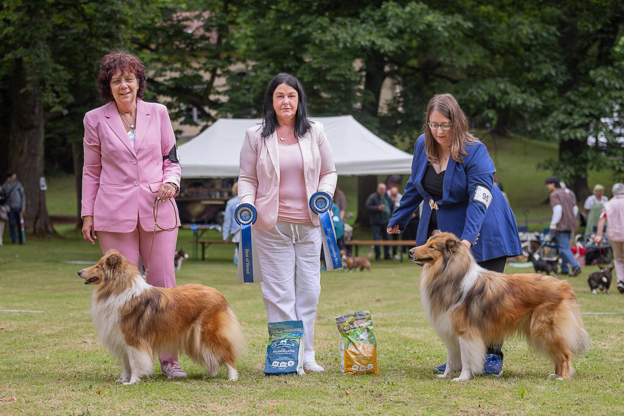 CAC Bad Salzhausen | BOB Collie Langhaar