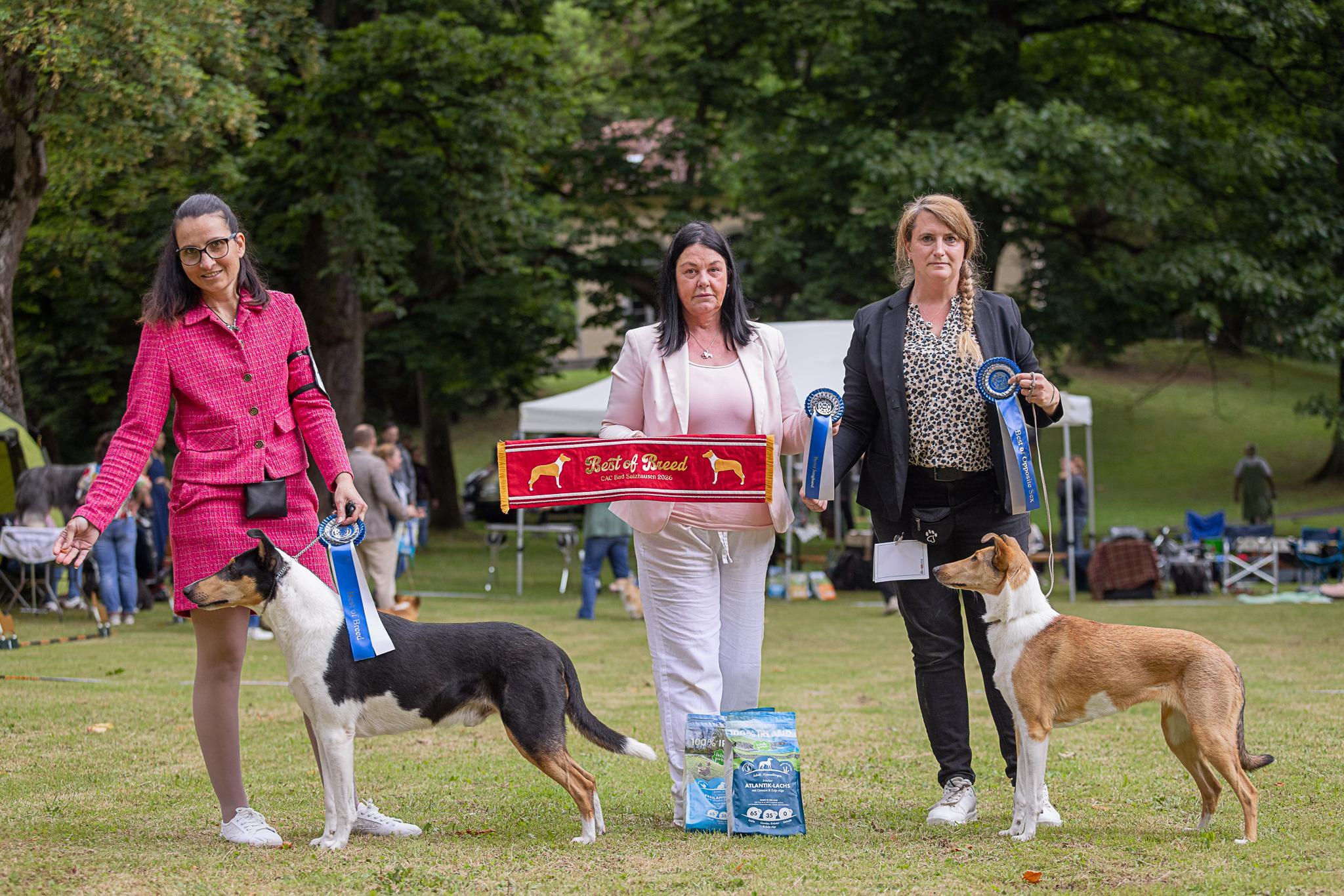 CAC Bad Salzhausen | BOB Collie Kurzhaar