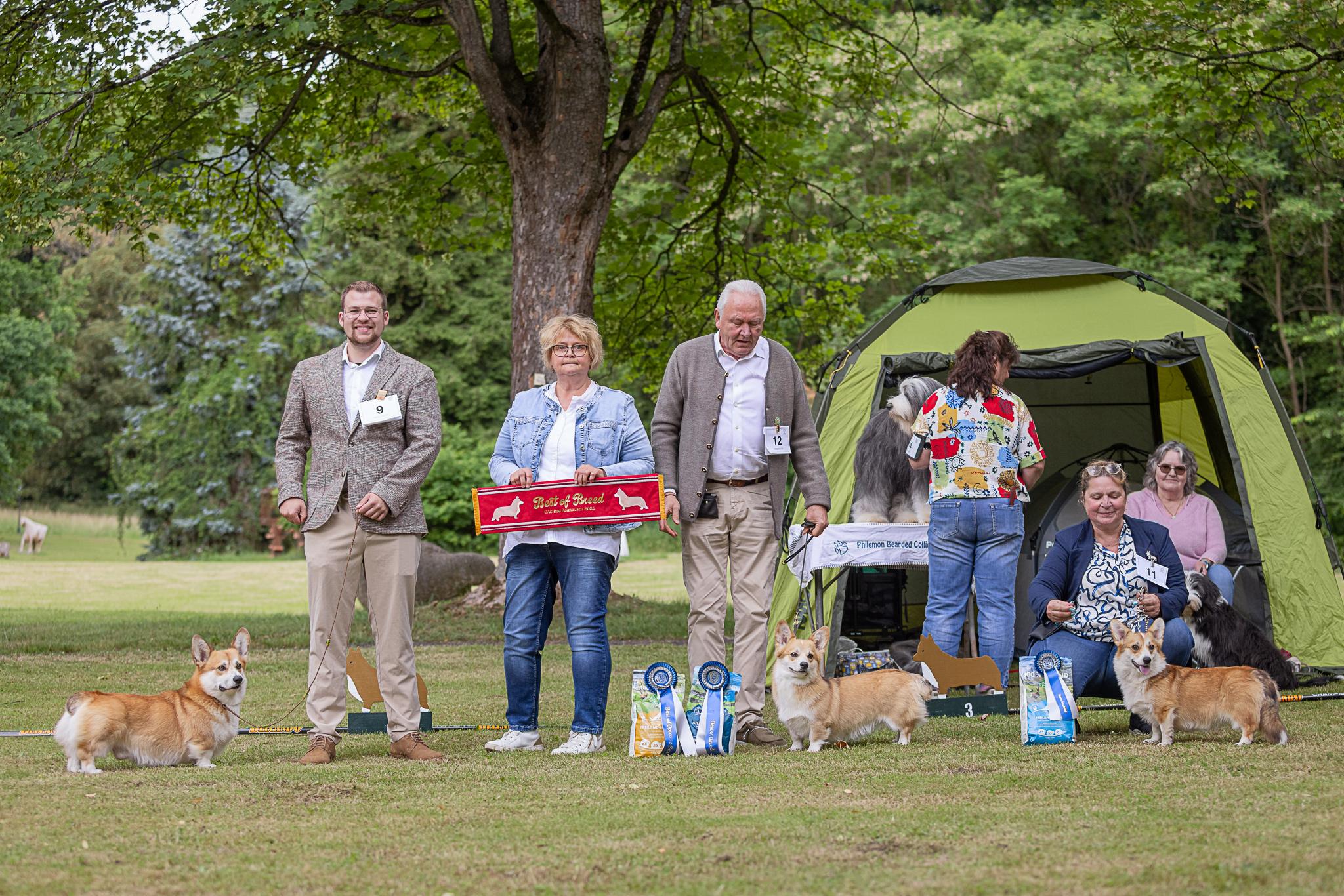 CAC Bad Salzhausen | BOB Welsh Corgi Pembroke