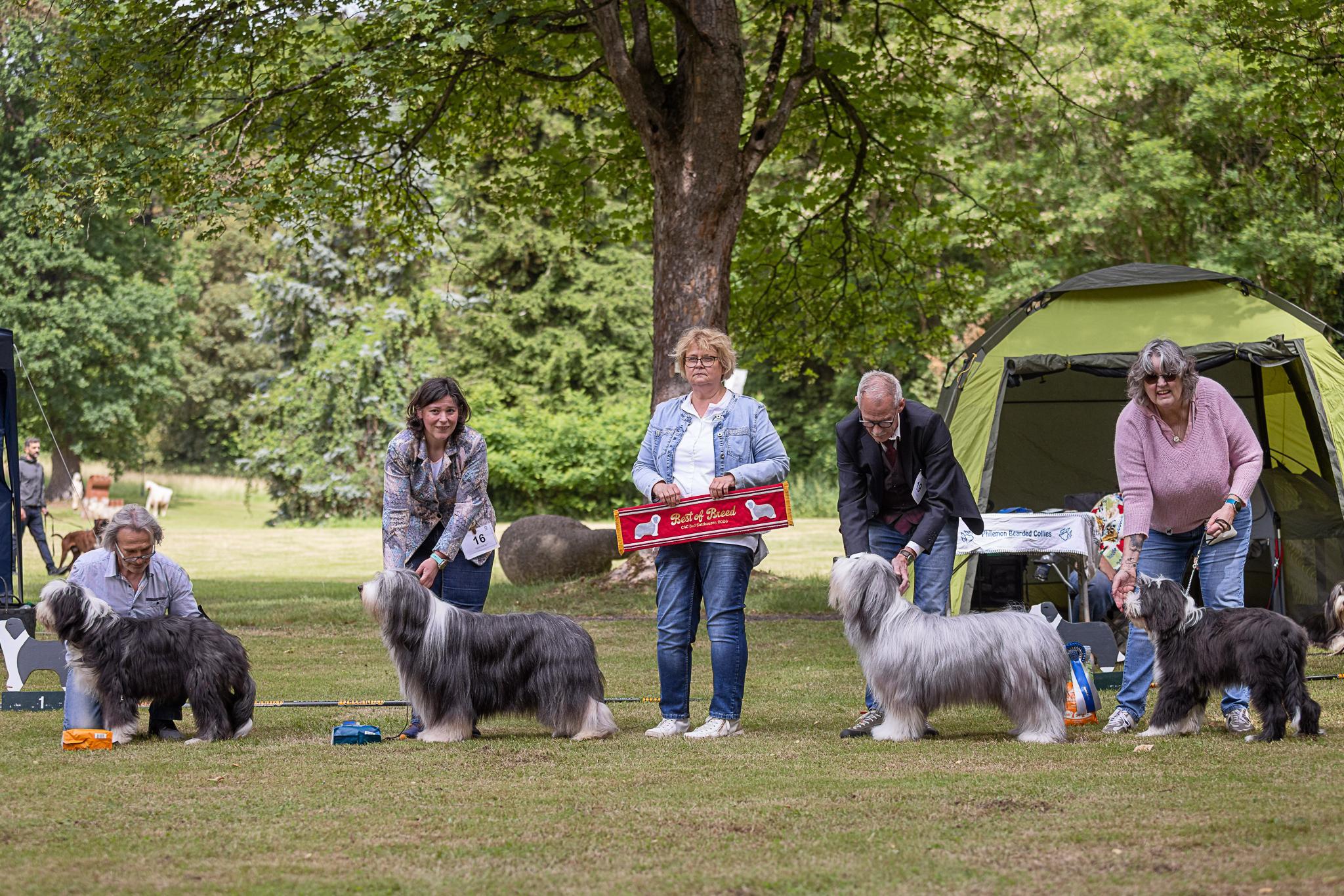 CAC Bad Salzhausen | BOB Bearded Collie