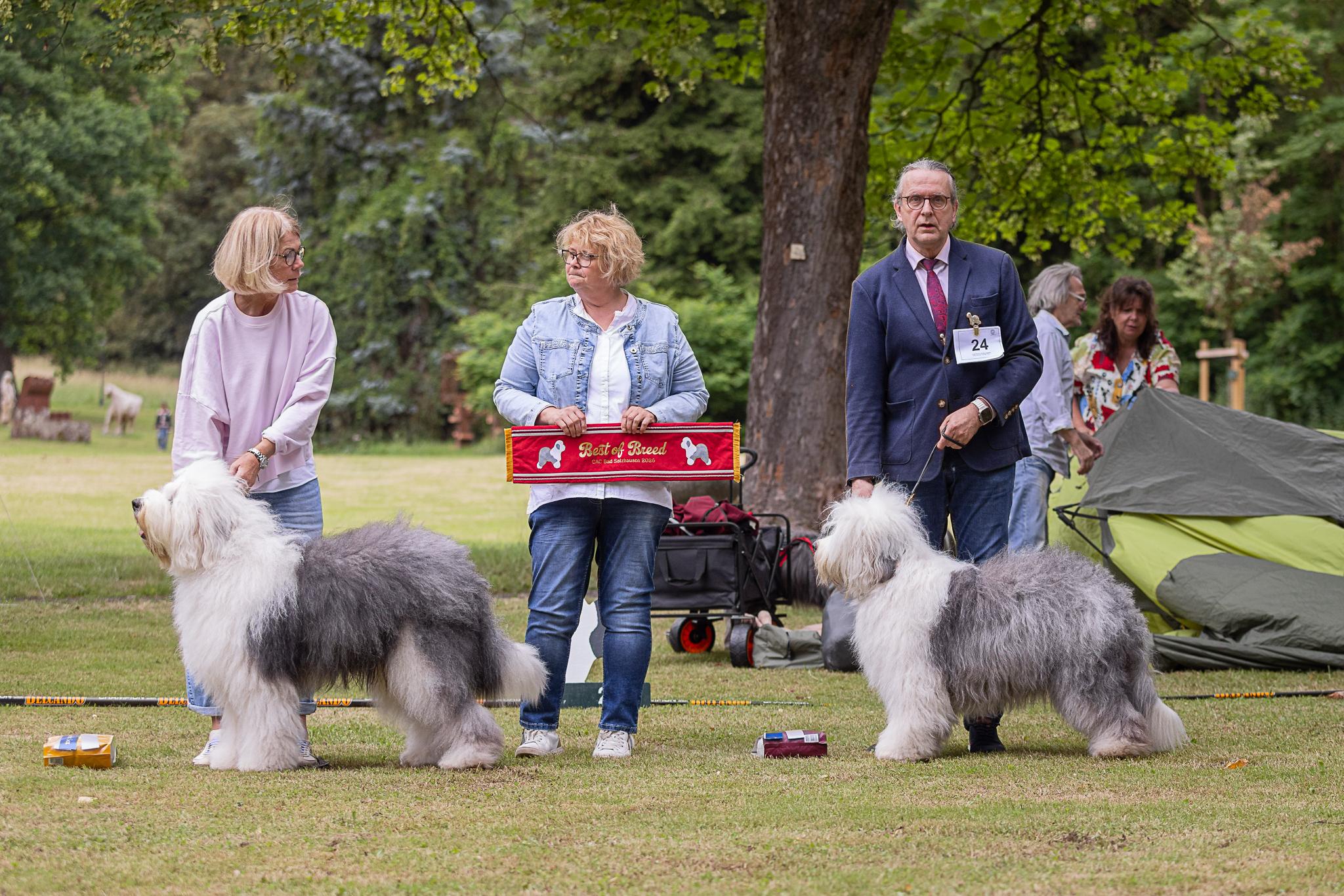 CAC Bad Salzhausen | BOB Bobtail